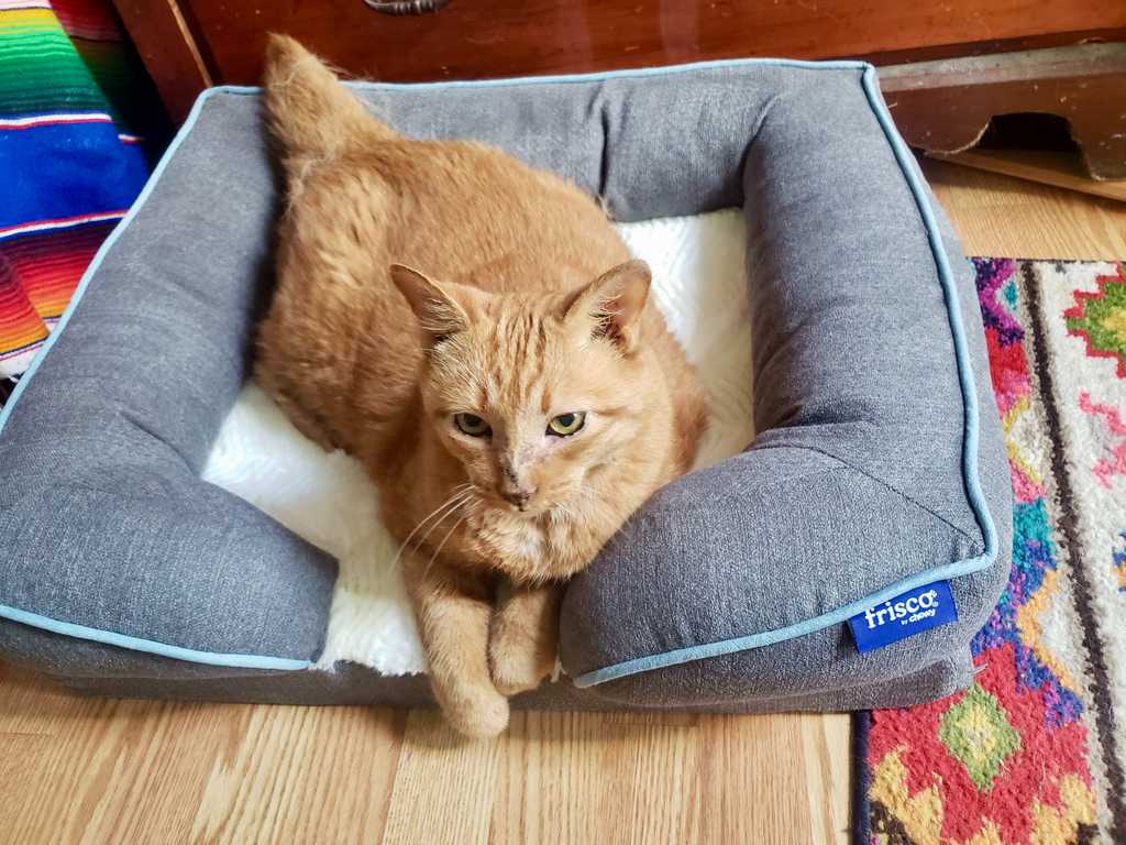Voorkant 10 Voorkant -Trixie Verkoopwinkel bets cat beds