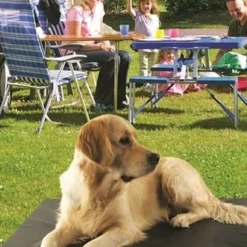 Bia Bed Bia Bed Matras Ligbed Zwart -Trixie Verkoopwinkel bia bed bia bed matras ligbed zwart 2