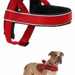 Hunter Hunter Harnas Norweger Racing Nylon Rood / Zwart