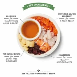 Lily's Kitchen Lily's Kitchen Cat Fisherman's Feast Fish -Trixie Verkoopwinkel lilys kitchen lilys kitchen cat fishermans feast f 2