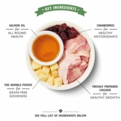 Lily's Kitchen Lily's Kitchen Cat Kitten Chicken / White Fish -Trixie Verkoopwinkel lilys kitchen lilys kitchen cat kitten chicken whi 2