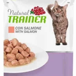 Natural Trainer Natural Trainer Cat Mature Salmon Pouch