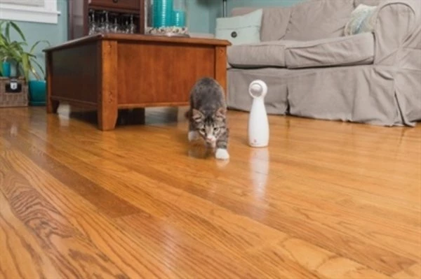 Petsafe Petsafe Bolt 2 Petsafe Petsafe Bolt - Afbeelding 2