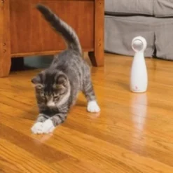 Petsafe Petsafe Bolt 6 Petsafe Petsafe Bolt -Trixie Verkoopwinkel petsafe petsafe bolt 2