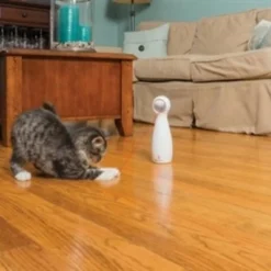 Petsafe Petsafe Bolt 7 Petsafe Petsafe Bolt -Trixie Verkoopwinkel petsafe petsafe bolt 3