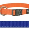 Rogz For Dogs Rogz For Dogs Fanbelt Halsband Blauw