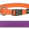 Rogz For Dogs Rogz For Dogs Fanbelt Halsband Paars