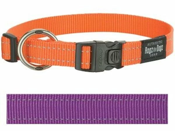 Rogz For Dogs Rogz For Dogs Fanbelt Halsband Paars 1 Rogz For Dogs Rogz For Dogs Fanbelt Halsband Paars