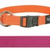 Rogz For Dogs Rogz For Dogs Fanbelt Halsband Roze
