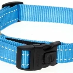 Rogz For Dogs Rogz For Dogs Fanbelt Halsband Turquoise