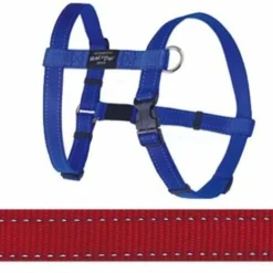 Rogz For Dogs Rogz For Dogs Fanbelt Tuig Rood