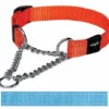 Rogz For Dogs Rogz For Dogs Snake Choker Turquoise