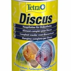 Tetra Tetra Prima Discus