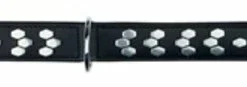 Trixie Trixie Halsband Hond Active Leer Met Applicaties Zwart