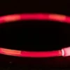 Trixie Trixie Halsband Usb Flash Light Lichtgevend Oplaadbaar Tpu Rood