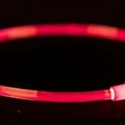 Trixie Trixie Halsband Usb Flash Light Lichtgevend Oplaadbaar Tpu Rood