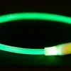 Trixie Trixie Halsband Usb Flash Light Lichtgevend Oplaadbaar Tpu Groen