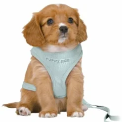 Nieuwe uitgaven 9 Trixie Trixie Hondentuig Junior Puppy Softtuig Met Riem Mintgroen