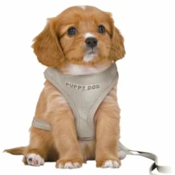 Trixie Trixie Hondentuig Junior Puppy Softtuig Met Riem Lichtgrijs