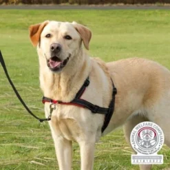 Nieuwe uitgaven 1 Trixie Trixie Hondentuig Trainingstuig Lead'n'walk Soft Zwart