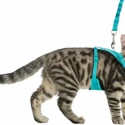 Trixie Trixie Kattentuig Mesh Y-vorm Met Elastische Riem Assorti -Trixie Verkoopwinkel trixie trixie kattentuig mesh y vorm met elastisch 4