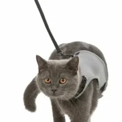 Trixie Trixie Kattentuig Soft Met Riem Assorti 8 Trixie Trixie Kattentuig Soft Met Riem Assorti -Trixie Verkoopwinkel trixie trixie kattentuig soft met riem assorti 3