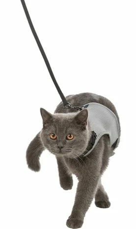 Trixie Trixie Kattentuig Soft Met Riem Assorti 4 Trixie Trixie Kattentuig Soft Met Riem Assorti - Afbeelding 4