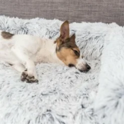 Trixie Trixie Sofa Bed Harvey Meubelbeschermer Hoekig Wit / Zwart -Trixie Verkoopwinkel trixie trixie sofa bed harvey meubelbeschermer hoe 2