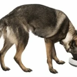 Trixie Trixie Tx4+1 Automatische Voerdispenser -Trixie Verkoopwinkel trixie trixie tx41 automatische voerdispenser 2