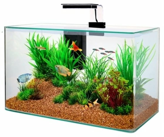 Zolux Zolux Aquarium Clear Kit Zwart 2 Zolux Zolux Aquarium Clear Kit Zwart - Afbeelding 2
